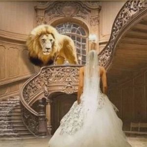 Meet your Posher, Dovey